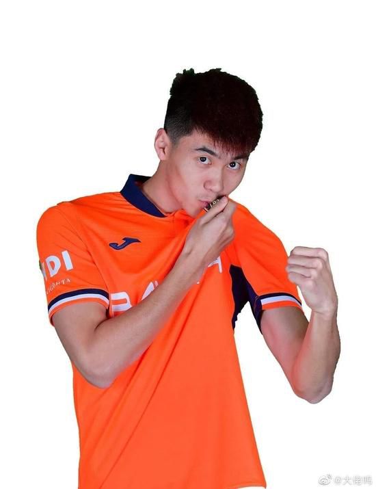 大象av