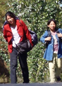 亚洲国产精品高清在线一区
